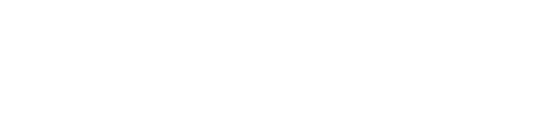 Fuzion Promo